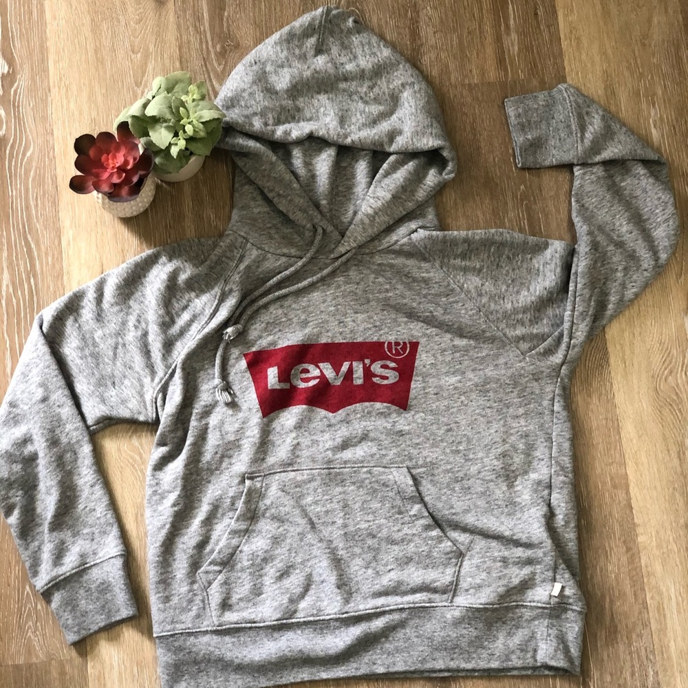 Levi’s Hooded Pullover